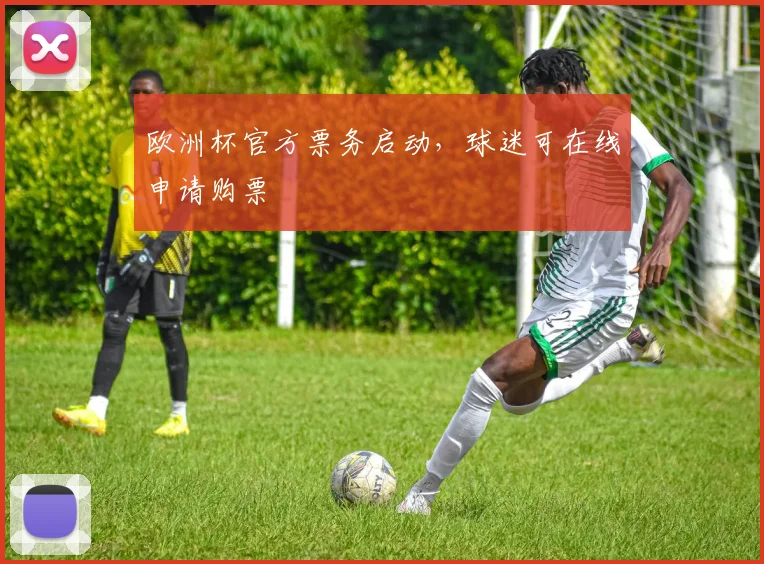 欧洲杯官方票务启动,球迷可在线申请购票