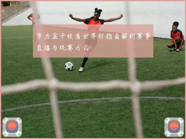 华为盒子收看世界杯指南解析赛事直播与观赛方式