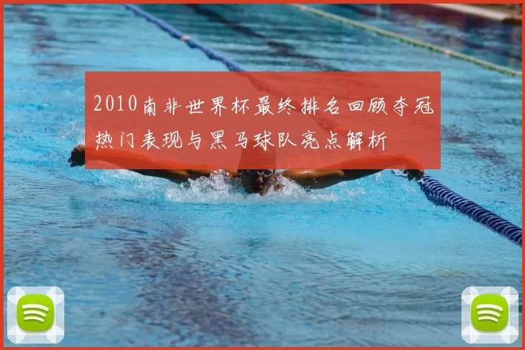 2010南非世界杯最终排名回顾夺冠热门表现与黑马球队亮点解析
